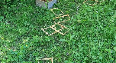 Türkeli'de ayılar kovanlara zarar verdi