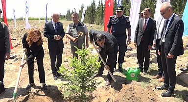 Türkiye'de "81 İlde 81 Orman" projesi kapsamında 81 ilde 2,2 milyon fidan toprakla buluşacak