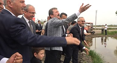 Türkiye'nin ikinci büyük çeltik üretim merkezi Bafra Ovası'nda "10. Çeltik Ekim Günü"