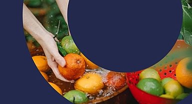 Türkiye'den 'PlantHealth4Life' kampanyasına destek