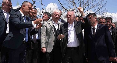 TZOB Başkanı Bayraktar, Kahramanmaraş'ta zirai dondan etkilenen bahçeleri inceledi