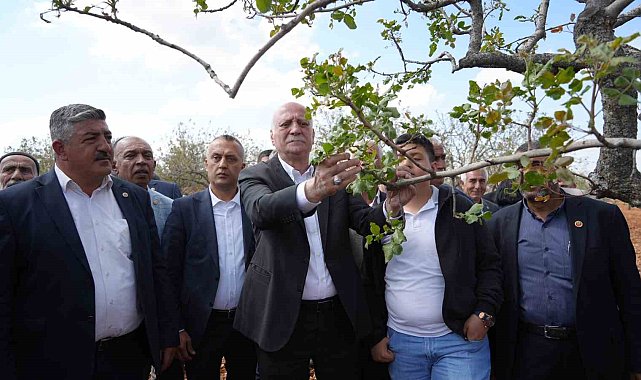 TZOB Genel Başkanı Bayraktar, Gaziantep'te dondan etkilenen bahçeleri inceledi