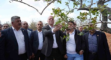 TZOB Genel Başkanı Bayraktar, Gaziantep'te dondan etkilenen bahçeleri inceledi