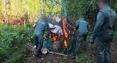 UNESCO Dünya Kültür Mirası Listesi'nde yer alan Hevsel Bahçeleri'nde 2 milyar TL değerinde uyuşturucu madde ele geçirildi