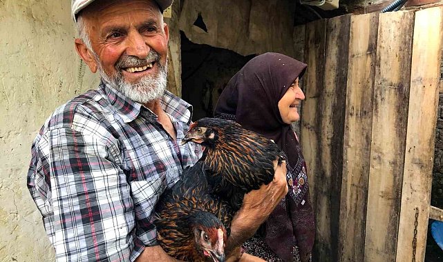 Üreticiye yüzde 50 hibeli yumurta tavuğu desteği