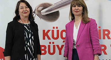 Uzmanından önemli uyarı: Keneyle ilgili doğru bilinen bu yanlışlar virüs riskini arttırıyor