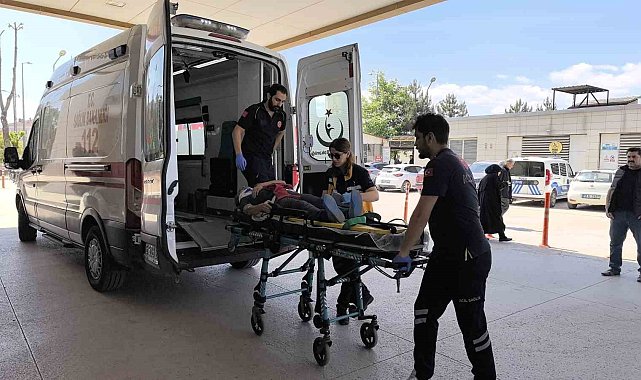 Üzüm yaprağı toplarken çatıdan düştü