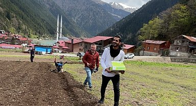 Uzungöl'de Arap turistler, tarlada mısır eken vatandaşlara hurma dağıttı, tarla belledi