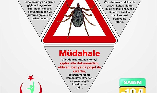 Vakaların arttığı keneye karşı alınabilecek önlemler