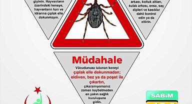 Vakaların arttığı keneye karşı alınabilecek önlemler