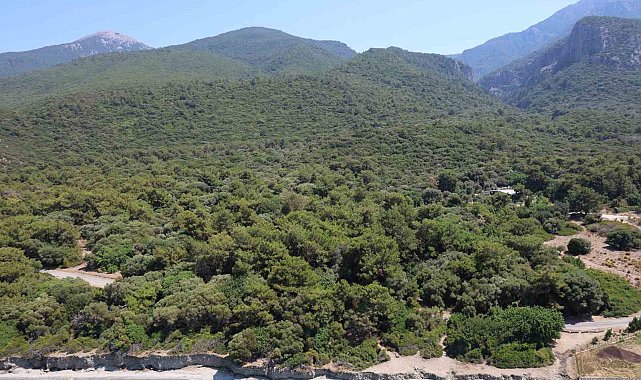 Valilik önlem aldı, ormanlık alanlara girişler yasaklandı