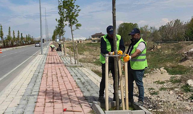 Van Büyükşehir Belediyesinden sahil yolunda çalışma