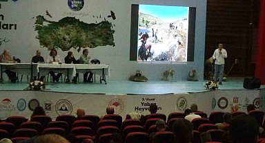 Van Gölü'nün oluşumu ve inci kefalinin mücadelesi