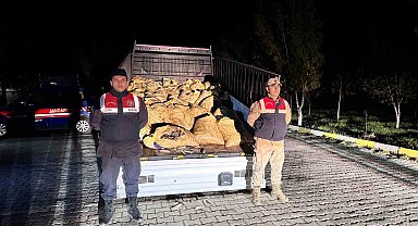 Van'da 3 ton 820 kilo kaçak avlanmış balık ele geçirildi