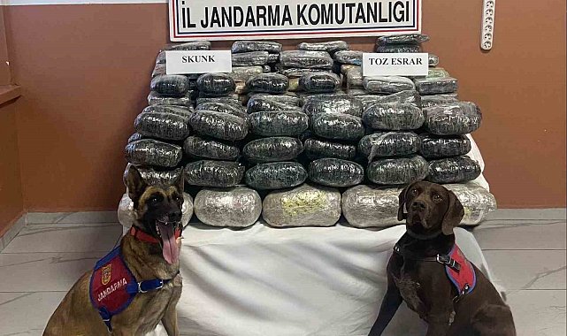 Van'da 90 kilo uyuşturucu ele geçirildi