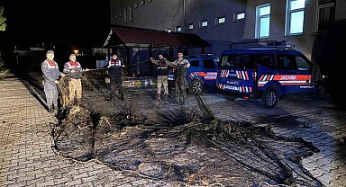 Van'da ele geçirilen 1 ton canlı balık suya bırakıldı