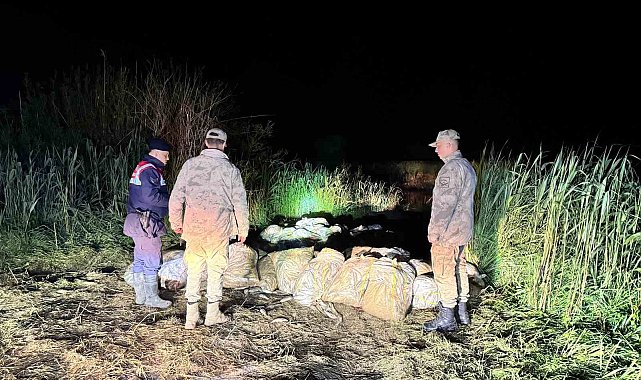 Van'da kaçak avlanmış 15 ton inci kefali ele geçirildi