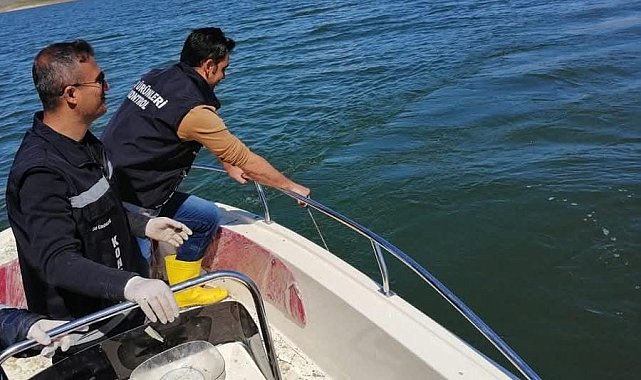 Van'da sazangiller için av yasağı başladı