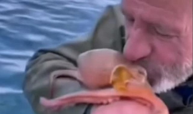 Yakaladığı ahtapotu öpüp sevdi, denize bıraktı