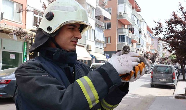 Yalova'da çatıdan düşen yavru martıyı itfaiye kurtardı