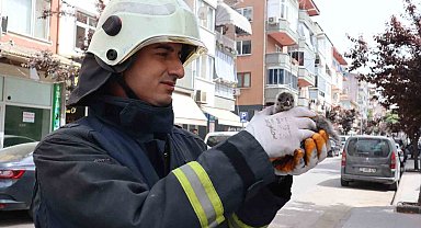 Yalova'da çatıdan düşen yavru martıyı itfaiye kurtardı