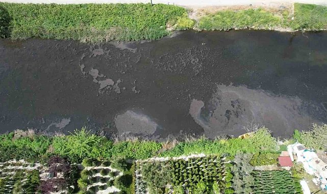 Yalova'da Dereağzı mevkisinde kanalizasyon suyu denize aktı