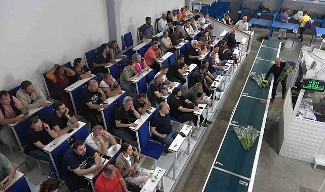 Yalova'daki çiçek mezatlarında Anneler Günü hareketliliği