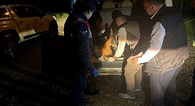 Yaralı karacayı jandarma koruma altına aldı