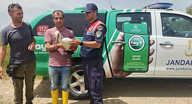 Yaralı leylek 3 aylık tedavi sonrası doğaya salındı