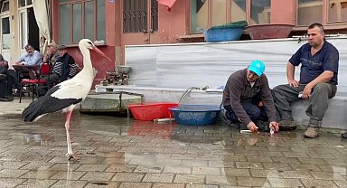 Yaren'in rakibi Bilal Leylek baba oldu