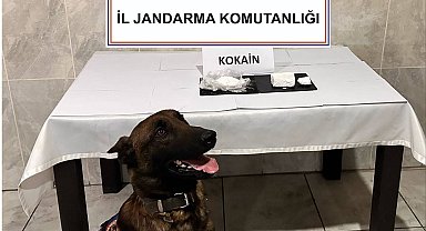 Yatağan'da yolcu otobüsünde 290 gram kokain yakalandı