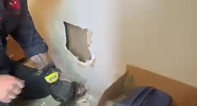 Yavruları duvar arasında mahsur kalan kedinin imdadına itfaiye ekipleri yetişti