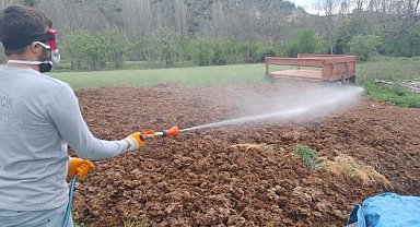 Yaz mevsimi öncesi sağlıklı çevre