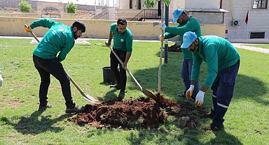 Yeşil alan çalışmalarıyla yaşamın kalitesi arttırılıyor