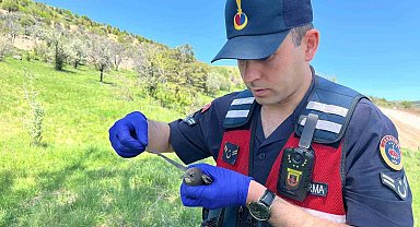 Yozgat'ta yaralı bulunan Ebabil kuşu emin ellerde