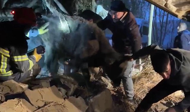 Yüksekova'da ahır çöktü: Köylüler ve ekipler hayvanlar için seferber oldu