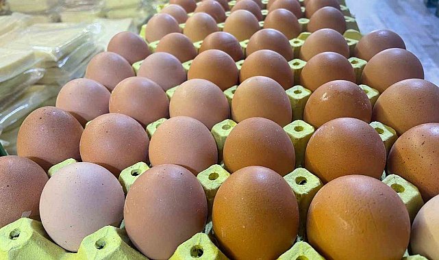Yumurta kabuğu deyip geçmeyin sanayide çok değerli