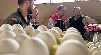 Yumurta tavukçuluğu sektöründe 80 bin adet tavuk bulunan işletmeye ek olarak yeni tesis geliyor