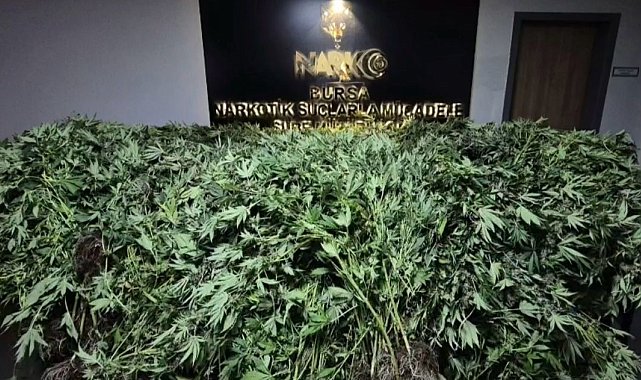 Zehir tacirlerine yapılan baskında 34 şüpheli tutuklandı