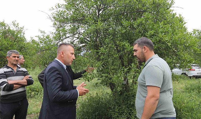 Zirai donun yaraları Büyükşehir'in desteğiyle sarıldı