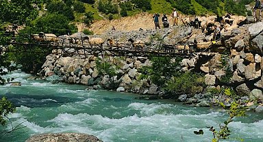 Zorlu coğrafyada hayat mücadelesi: Avaşin Deresi'ndeki asma köprüden geçen koyun sürüsü görenleri hayran bıraktı