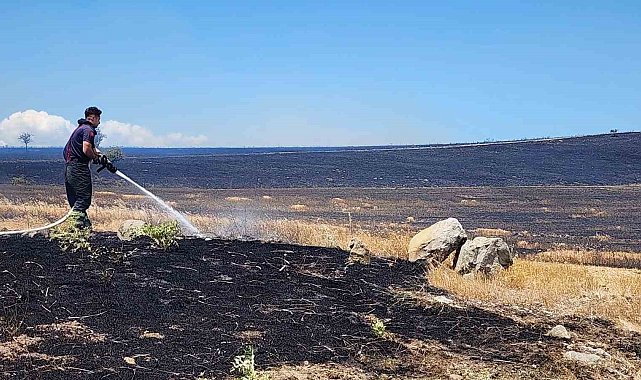 10 bin dönümlük arazi alevlere teslim oldu