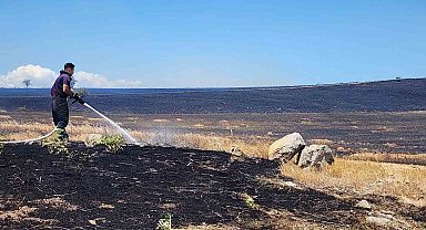 10 bin dönümlük arazi alevlere teslim oldu
