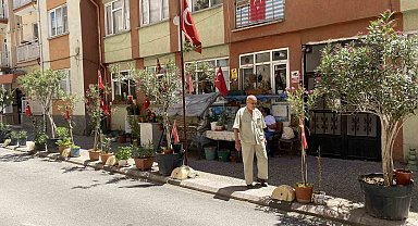 'Sevgililer ve Aşıklar Parkı'nı eski görünümüne kavuşturdu