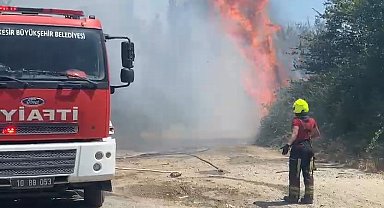 40 dereceyi aşan sıcaklık ve rüzgarın etkisiyle yangın kısa sürede büyüdü