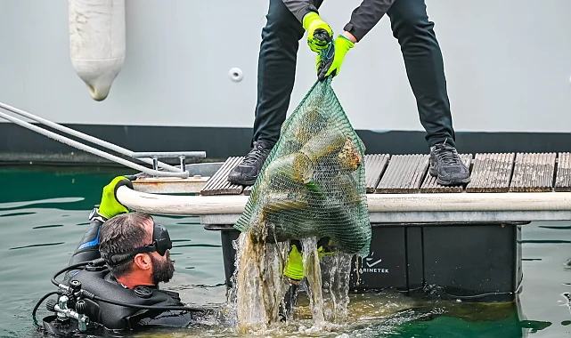 5 ton çöp toplandı, güneş enerjisi kullanımı arttı