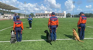 9 ülkeden 27 arama kurtarma köpeği İstanbul'daki şampiyonada yarıştı