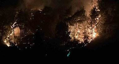 Adana Kozan'da orman yangını büyümeden söndürüldü