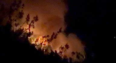 Adana ve Osmaniye'de 14 farklı noktada orman yangını çıktı, 13'ü kontrol altında