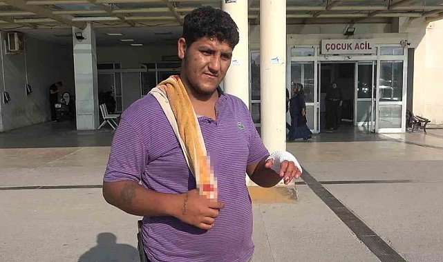 Adana'da 194 acemi kasap hastanelik oldu